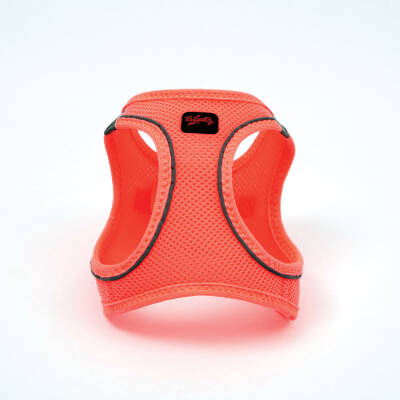 Tailpetz Air-Mesh Küçük Irk Köpek Göğüs Tasması 44-48cm (Neon Pembe) [M] - 6